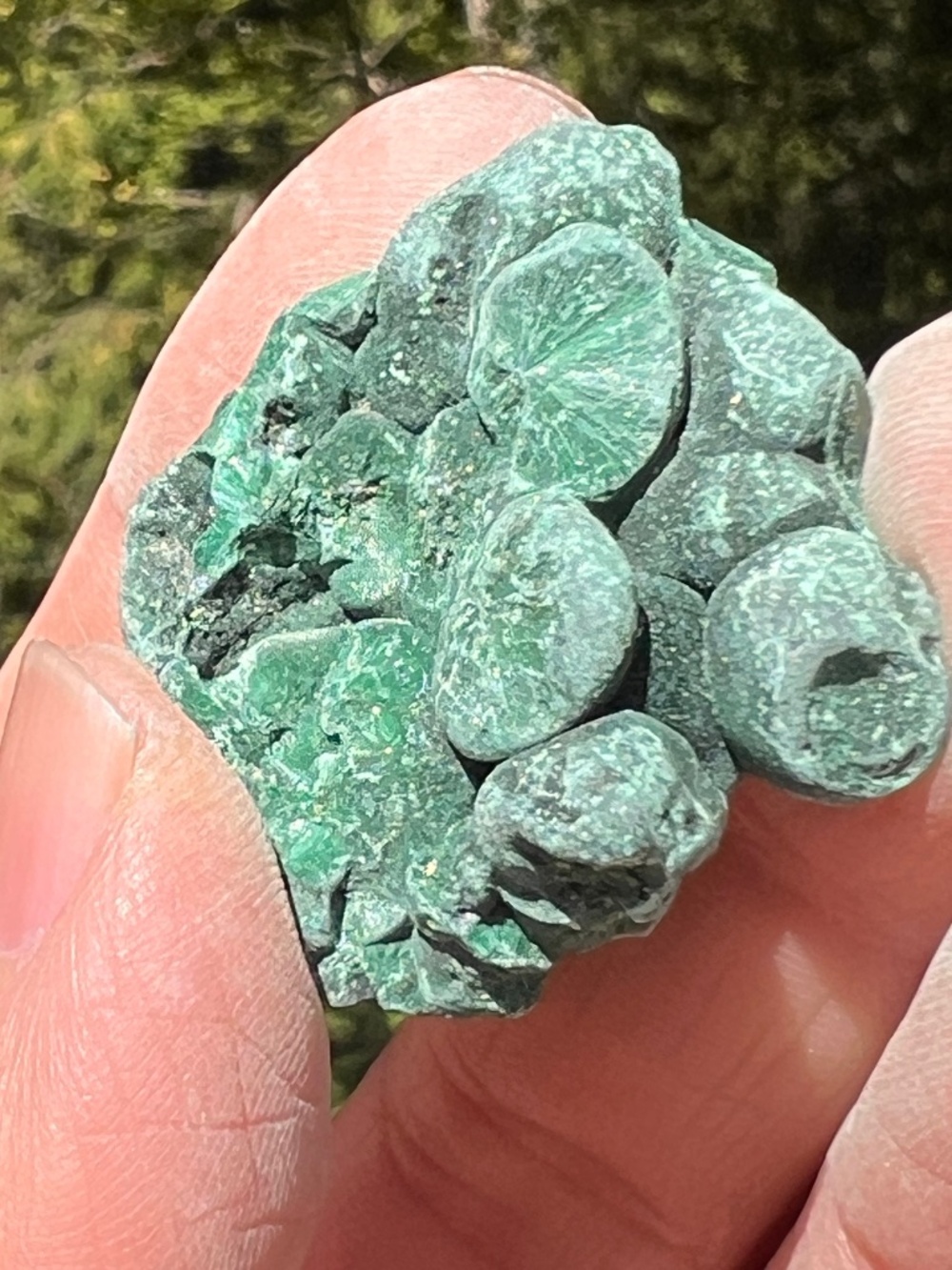 Malachite (18)  specimen with stand |  crystal